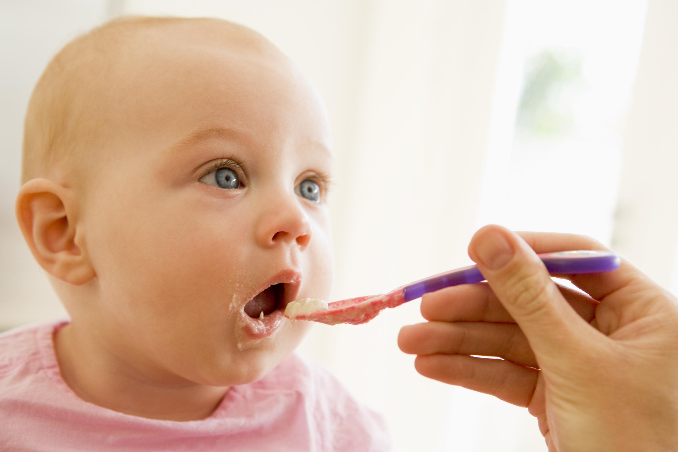 Ren Baby Food